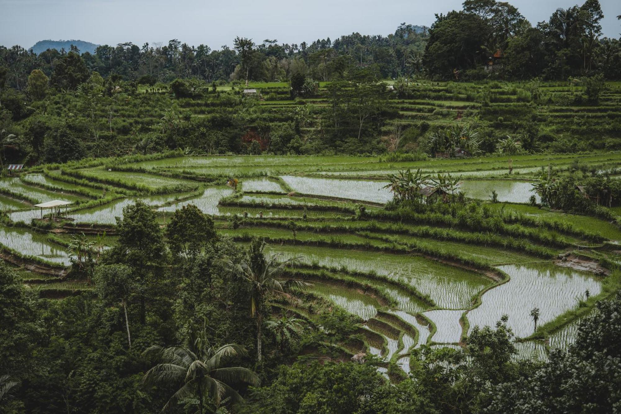 Camaya Bali - Magical Bamboo Houses Selat Exterior foto
