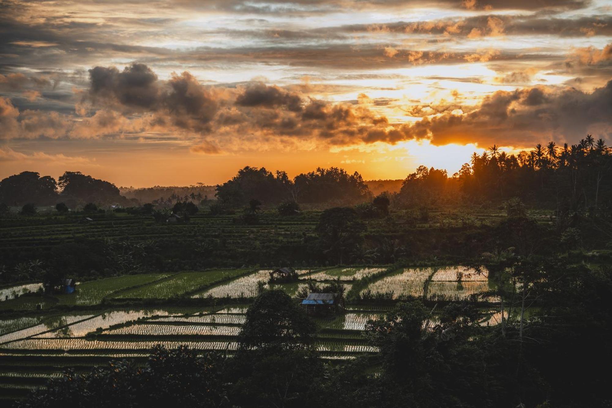 Camaya Bali - Magical Bamboo Houses Selat Exterior foto